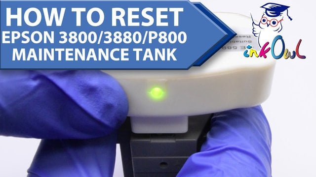 How to Reset Epson 3800 Maintenance Tank